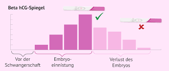 Durch viele maßnahmen lassen sich risiken und gefahren nach einer gebärmutterausschabung minimieren. Was Ist Eine Biochemische Schwangerschaft Ursachen Und Symptome