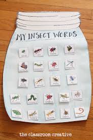 Insect Unit Idea Interactive Insect Vocabulary Anchor Chart
