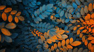 Best high quality 4k ultra hd wallpapers collection for your phone. Leaves 4k Wallpapers For Your Desktop Or Mobile Screen Free And Easy To Download