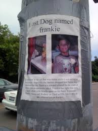 How to find my lost dog. How To Find Your Lost Dog When He Disappears Unexpectedly The First Time Dog Owner Guide