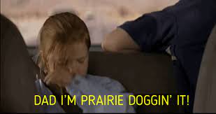Prairie Doggin It Album On Imgur