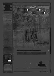 Florida Sentinel Bulletin, November 20, 2009