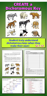 Dichotomous Key Create A Dichotomous Key Activity Dichotomous Key Teaching Biology Science Biology