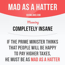 Mad As A Hatter Means Completely Insane Example If The Prime Minister Thinks That People Will Be English Vocabulary Words English Phrases English Idioms