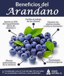 Infografia Beneficios De Los Arandanos Arandanos Beneficios Beneficios De La Fruta Frutas Y Verduras Beneficios