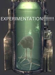 Image result for tbn:ANd9GcSHbzXs1kessAqDv7vBRCjqGb5EOeKOyWWMr8QKkcYGZeP2G5KpJA