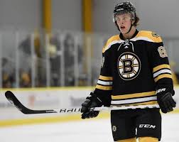 Některá data mohou pocházet z datové položky. David Pastrnak Alchetron The Free Social Encyclopedia