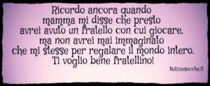 Acqua passata non macina più. Frasi Da Dedicare Ad Un Fratello Le Piu Belle E Speciali Notiziesecche Frasi Aforismi E Citazioni
