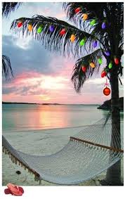 Palm Trees Christmas Lights And Warm Breezes Outdoor Adventures Christmas Lights Tree 2020 Dogadaki Etkinlikler Palmiye