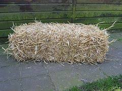Botte Agriculture Wikipedia
