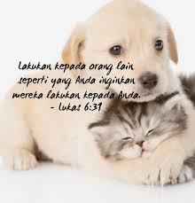  Lukas 6 31 Manado Indonesian Lombok