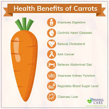 This Vegetable Has The Highest Amount Of Carotene When Compared To Other Fruits And Vegetables Al Health Benefits Of Carrots Elderly Care Sources Of Vitamin B