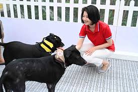 More images for sun xueling » Reach Out And Be Enriched Mnd Link Ministry Of National Development