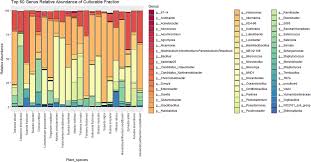 Image result for Sarcocornia decumbens