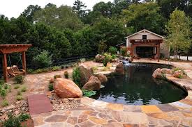 Backyard Pond Ideas Hgtv
