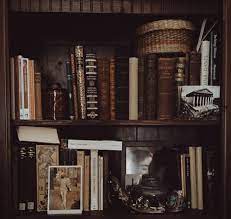 Dark academia is an aesthetic and subculture dedicated to the pursuit of knowledge. Dark Academia Aesthetics Wiki Fandom