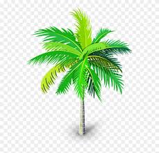 Our database contains over 16 million of free png images. Palm Tree Png Palm Tree Vector Png Transparent Background Clipart 88929 Pikpng