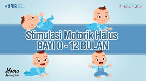 Perkembangan penglihatan bayi bisa dibilang sangat drastis dan cepat, dimulai sejak ia lahir. Download Tahap Perkembangan Anak 0 12 Bulan Daily Movies Hub