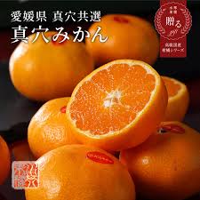真 穴 みかん 3kg