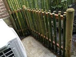 Contoh pagar bambu keren / contoh pagar bambu kere. 50 Inspirasi Desain Pagar Bambu Unik Simpel Ilmumenara