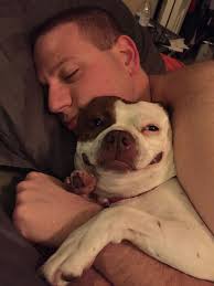 Another part of the canine cottages study was identifying different ways dogs show affection to their owners. 8 Signs That Your Partner Loves Your Pet Way More Than They Love You