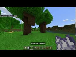 How To Grow Dark Oak Trees In Minecraft?