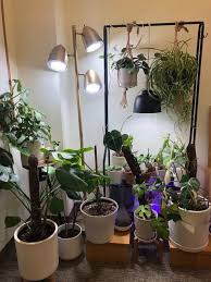 A wintertime harvest of herbs and salad greens can also be plants differ in their need for light intensity. Sansi Led Security Lights Led Bulbs Grow Lights Indoor Grow Lights Grow Lights Grow Light Bulbs