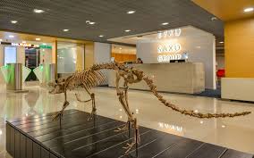 For saxo bank, this code is saxodkkk. Saxo Bank Office Photos Glassdoor