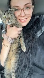 Lost and Found Pets Cabarrus County, NC