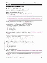 46 Cell Division Worksheet Answers In 2020 Division Worksheets Cell Division Interactive Science Notebook