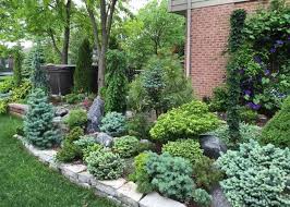Dwarf Conifer Garden Blue Tones Predominate Excellent Winter Garden So Colorful Yet Zero Flowers Conifers Garden Evergreen Landscape Evergreen Garden