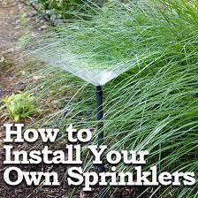 Level the sprinkler heads with the soil level. Installing Your Own Sprinkler System Pretty Handy Girl