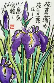 language of flowers of iris is spirit trust indeed 絵手紙 イラスト 花 絵