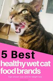 In that case, should i feed my cat an exclusive wet food diet? Pin On Cat Food