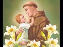 Segnata dall'emergenza sanitaria l'attività della onlus dei frati del santo. Pellegrinaggio A Sant Antonio Noi Padova