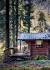Beautiful Lake Cabin In The Woods
