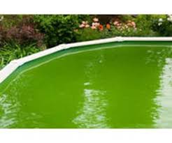 Are you searching for the best rated above ground pool? Above Ground Pool Maintenance Inyopools Com