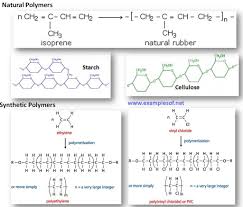 Macromolecule Monomer Polymer Chart Proteins