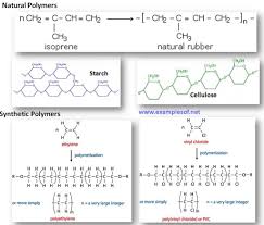 Macromolecule Monomer Polymer Chart Proteins
