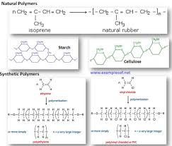 macromolecule monomer polymer chart proteins