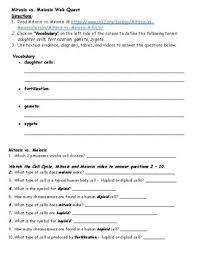 It focusses especially on regulatory mechnisms and in some instances on the consequences of malfunction. Meiosis Webquest Worksheets Teachers Pay Teachers