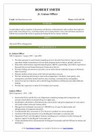 Financial analyst job description financial analyst job description the financial analyst job description below gives a typical example of all the skills, education, and experience required to be hired for an analyst job at a bank, institution, or corporation. Liaison Officer Resume Samples Qwikresume