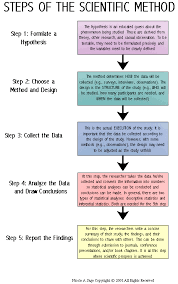 Steps Of The Scientific Method Useful Flow Chart For All