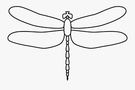 Download Clip Art Transparent Collection Of Free Dragonfly Svg Black And White Dragonfly Outline Png Free Transparent Clipart Clipartkey