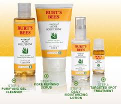 Bees are very important because they are the leading pollinators in the world. Beauty All That Burt S Bees Natural Acne Solutions Review