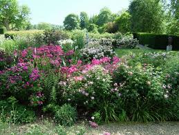 Pin On British Gardens