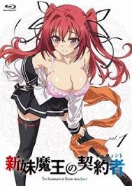 But mio and maria's true forms are actually the newbie demon lord and a succubus!? List Of The Testament Of Sister New Devil Episodes Wikipedia