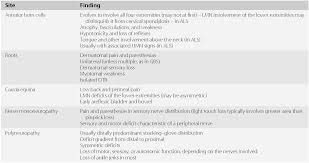 Image result for Neurologic Lesion Localization