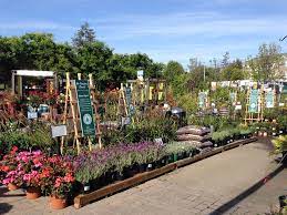 We would like to show you a description here but the site won't allow us. Campbell Summerwinds Nursery California