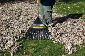 The ames 22 tine leaf rake with a 48 wooden handle is perfect for any job, residential or commercial. 10 Best Leaf Rakes Reviewed Jul 2021
